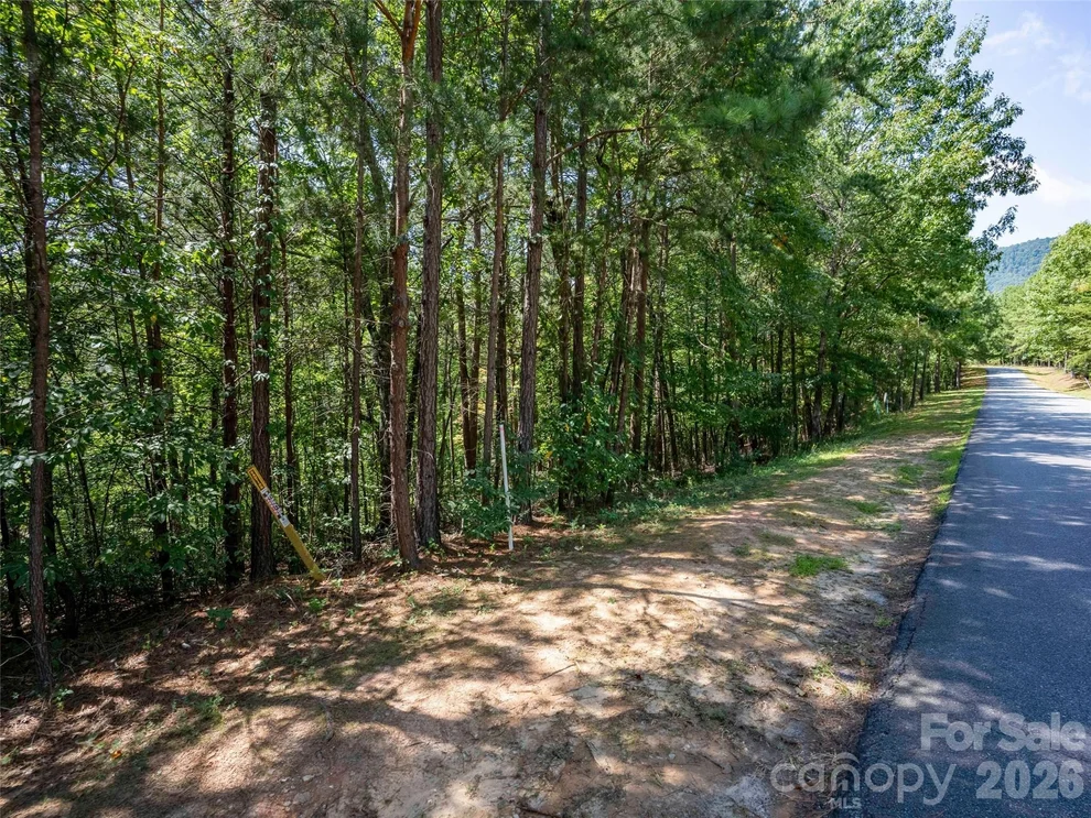 Unit for sale at Lot 2010 Deep Gap Farm None W, Mill Spring, NC 28756