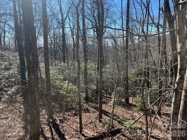 Unit for sale at Lot 79 Arrowhead Trail, Columbus, NC 28722