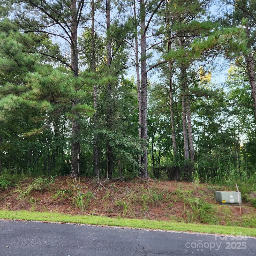 Unit for sale at 115 Scenic Ridge Drive, Mooresboro, NC 28114