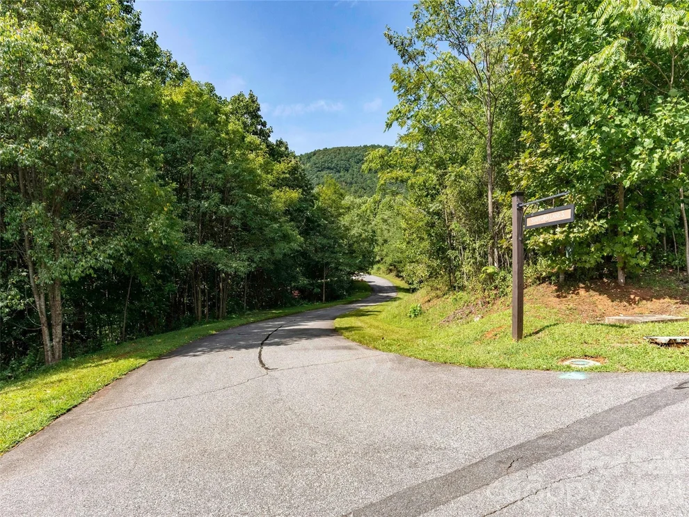 Unit for sale at 0 Deep Gap Farm Road W, Mill Spring, NC 28756