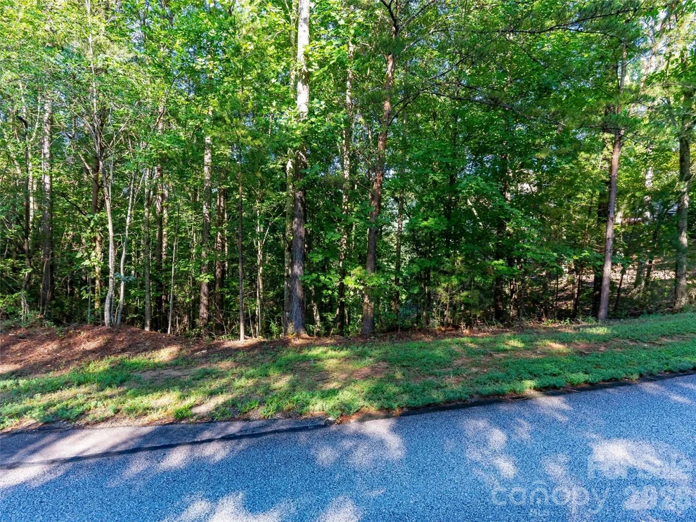 Unit for sale at 0 Deep Gap Farm Drive E, Mill Spring, NC 28756