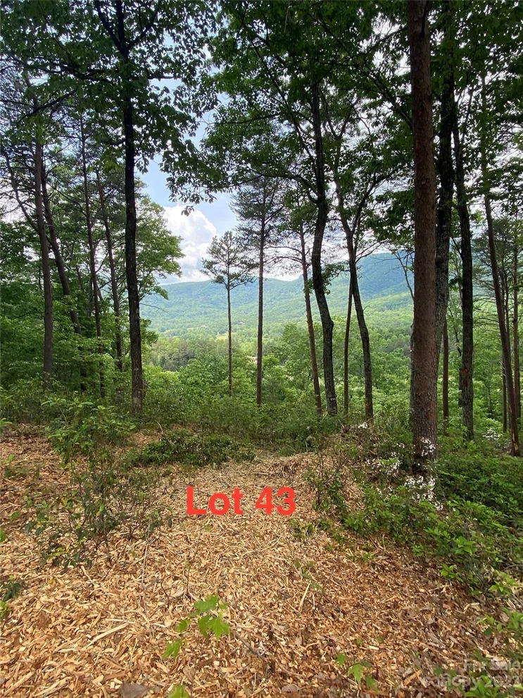 Unit for sale at LOT 43 Deep Gap Farm Road E, Mill Spring, NC 28756