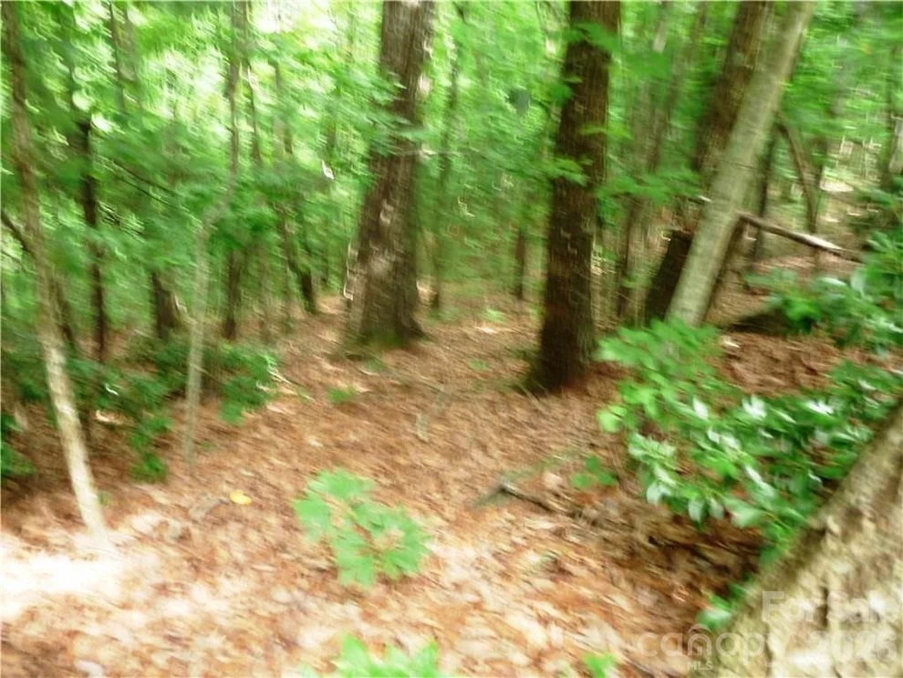 Unit for sale at 360 Kenmure Drive, Flat Rock, NC 28731