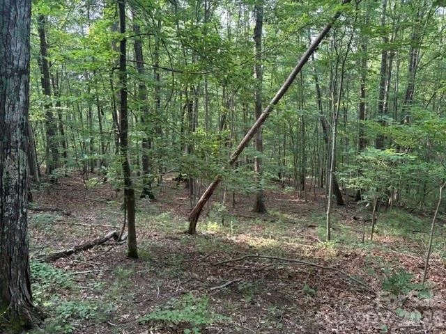 Unit for sale at 00 Cardinal Circle, Tryon, NC 28782