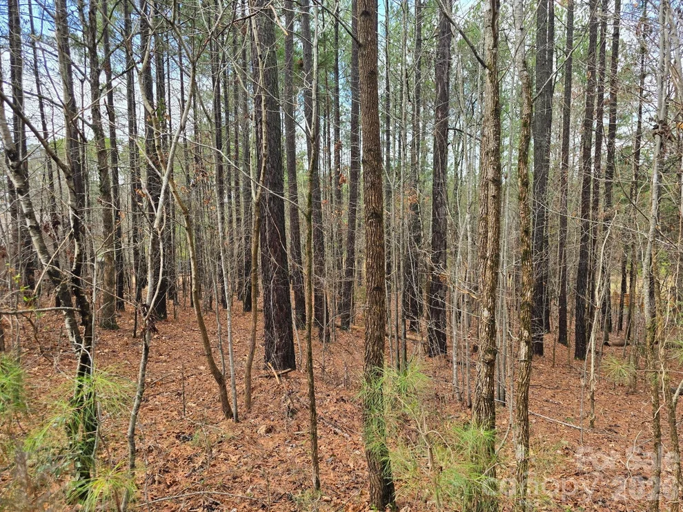 Unit for sale at 225 Cove Wood Drive, Denton, NC 27239