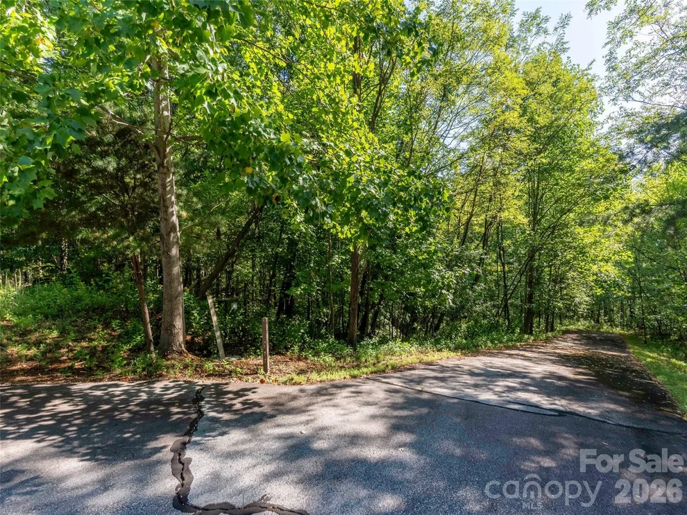 Unit for sale at Lot 177 Grafton None, Mill Spring, NC 28756