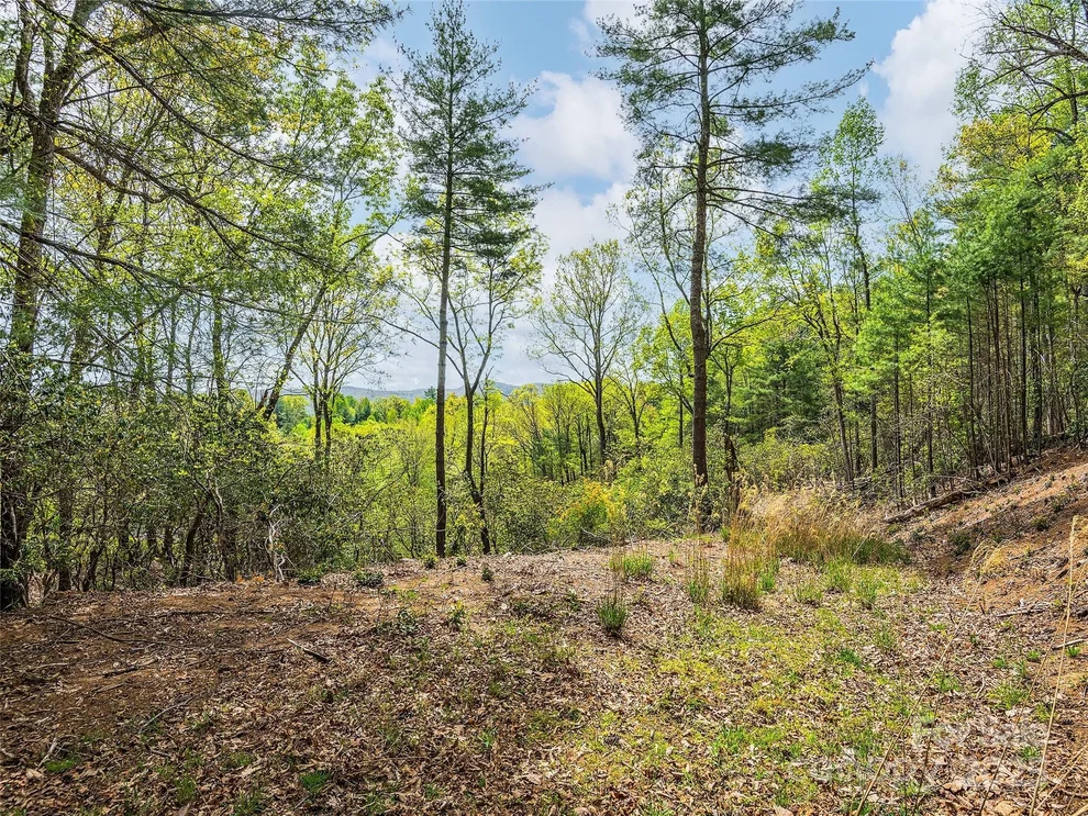 Unit for sale at Lot #56 Winterberry Drive, Hendersonville, NC 28739