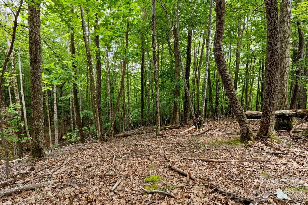 Unit for sale at 203 Sourwood Lane, Beech Mountain, NC 28604
