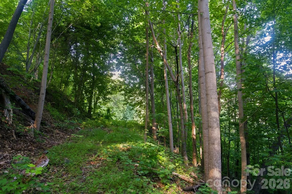 Unit for sale at 00 Ragans Pointe Pointe, Columbus, NC 28722