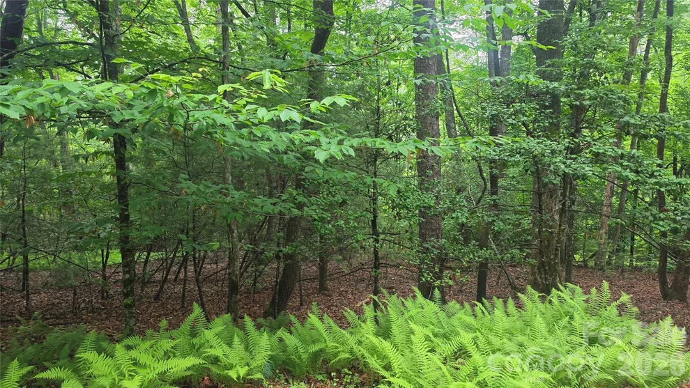 Unit for sale at TBD Wingfield Way, Brevard, NC 28712