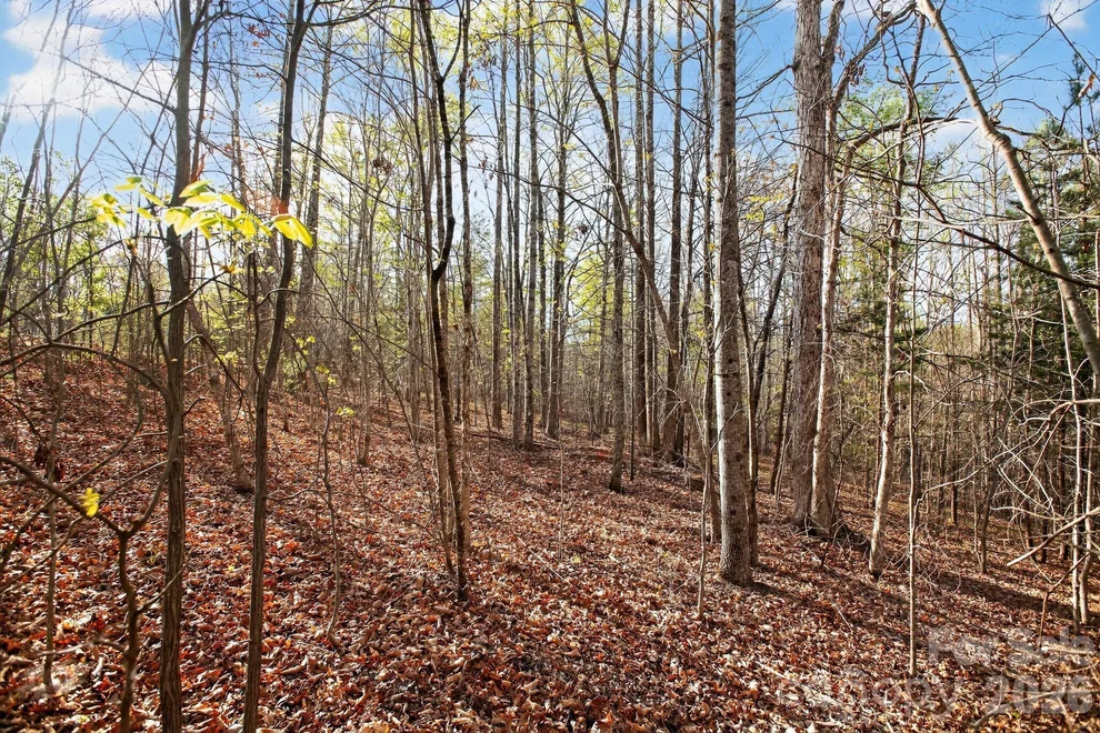 Unit for sale at Lot 62 Dirksen Avenue, Nebo, NC 28655