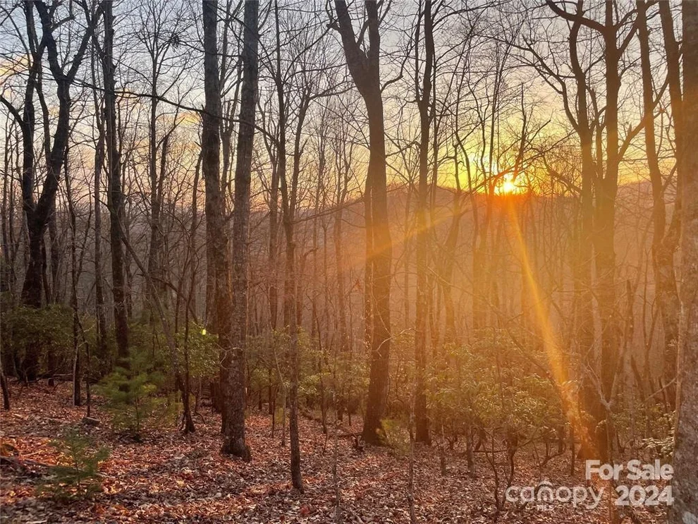 Unit for sale at TBD Connestee Trail, Brevard, NC 28712