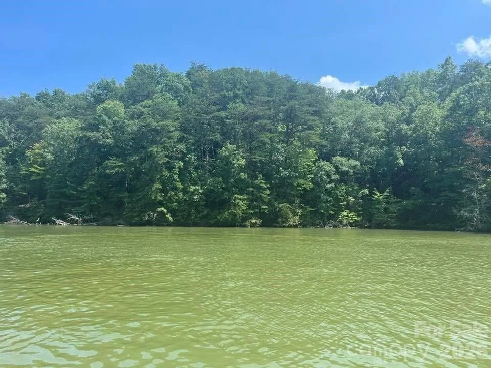 Unit for sale at 00 Canoe Drive, Mill Spring, NC 28756