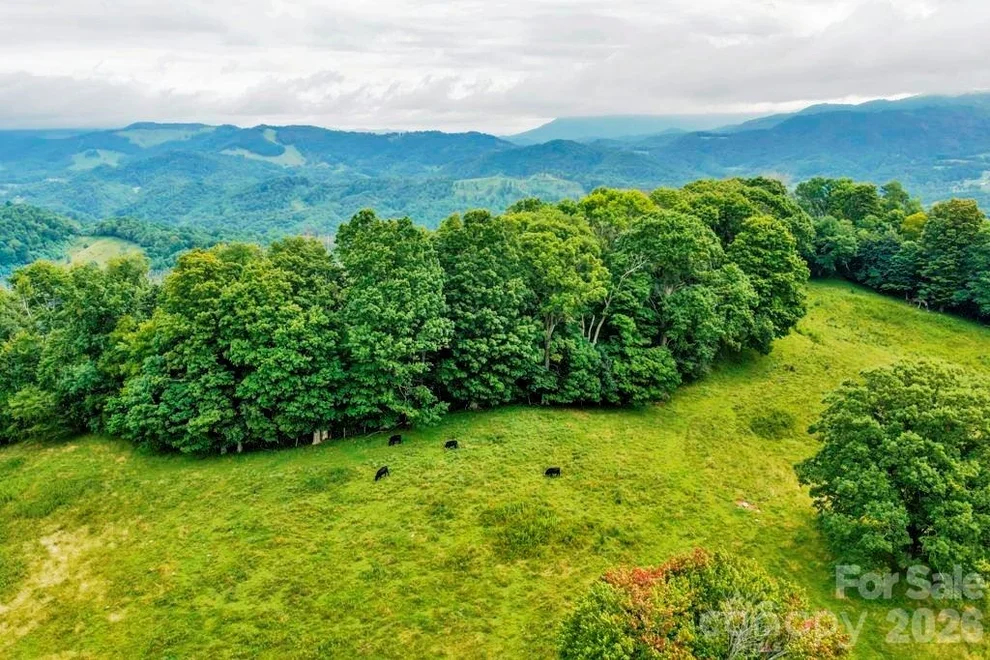 Unit for sale at tbd Vaughn Potter Road, Zionville, NC 28698