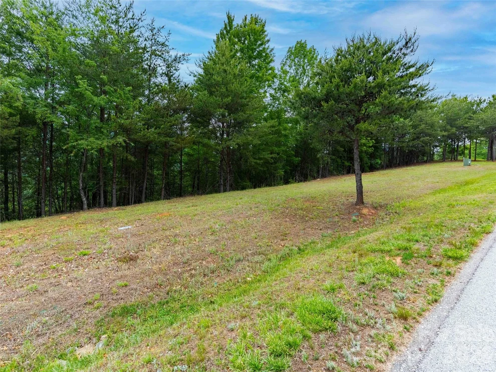 Unit for sale at 38 Deep Gap Farm Road E, Mill Spring, NC 28756