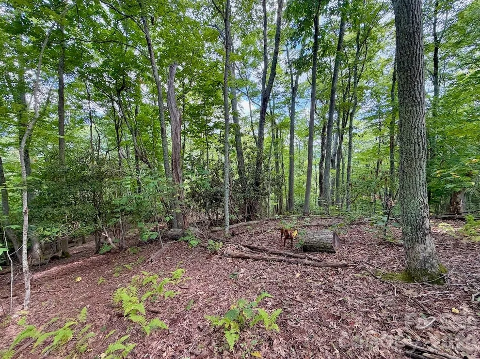 Unit for sale at TBD Galax Lane, Banner Elk, NC 28604