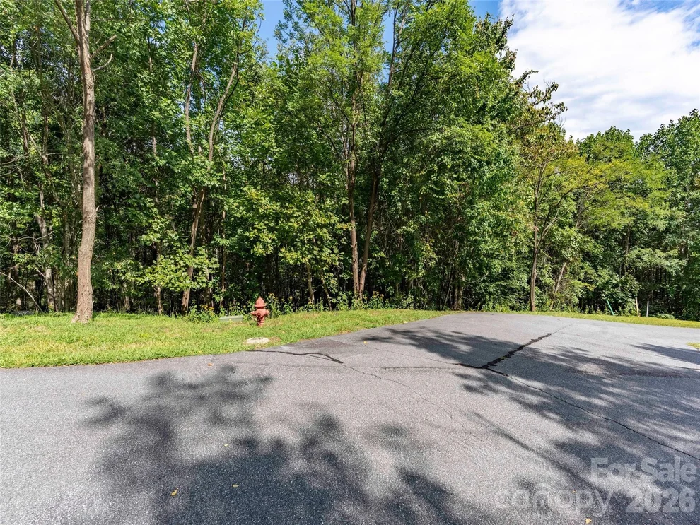 Unit for sale at 0 Deep Gap Farm Road W, Mill Spring, NC 28756