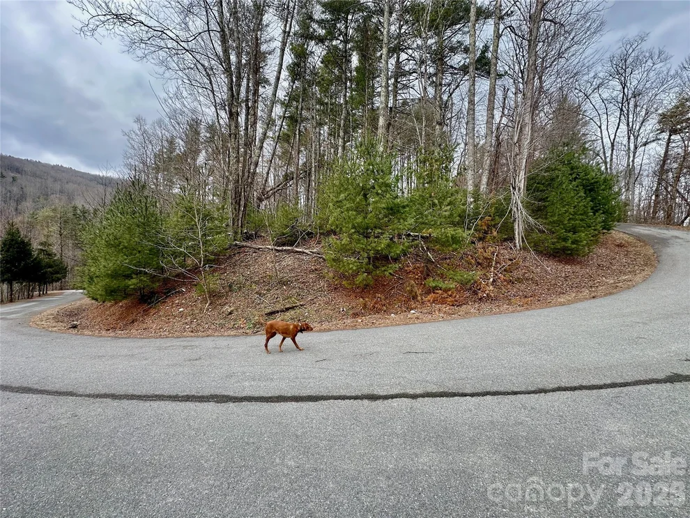 Unit for sale at TBD mantera Ridge, Sugar Grove, NC 28679