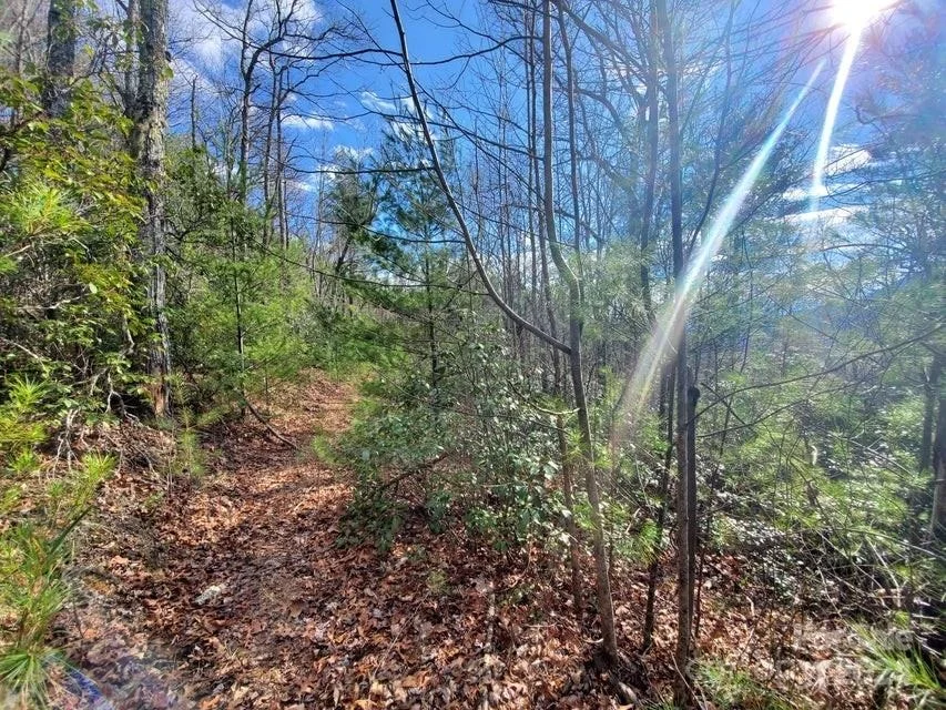 Unit for sale at TBD Elkins Road, Bakersville, NC 28705