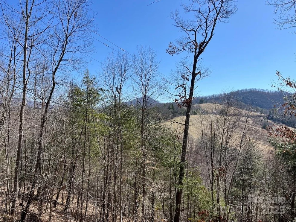 Unit for sale at 000 Trinity Place, Burnsville, NC 28714