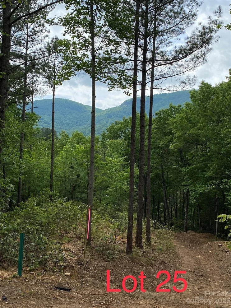 Unit for sale at LOT 25 Monteith Place, Mill Spring, NC 28756