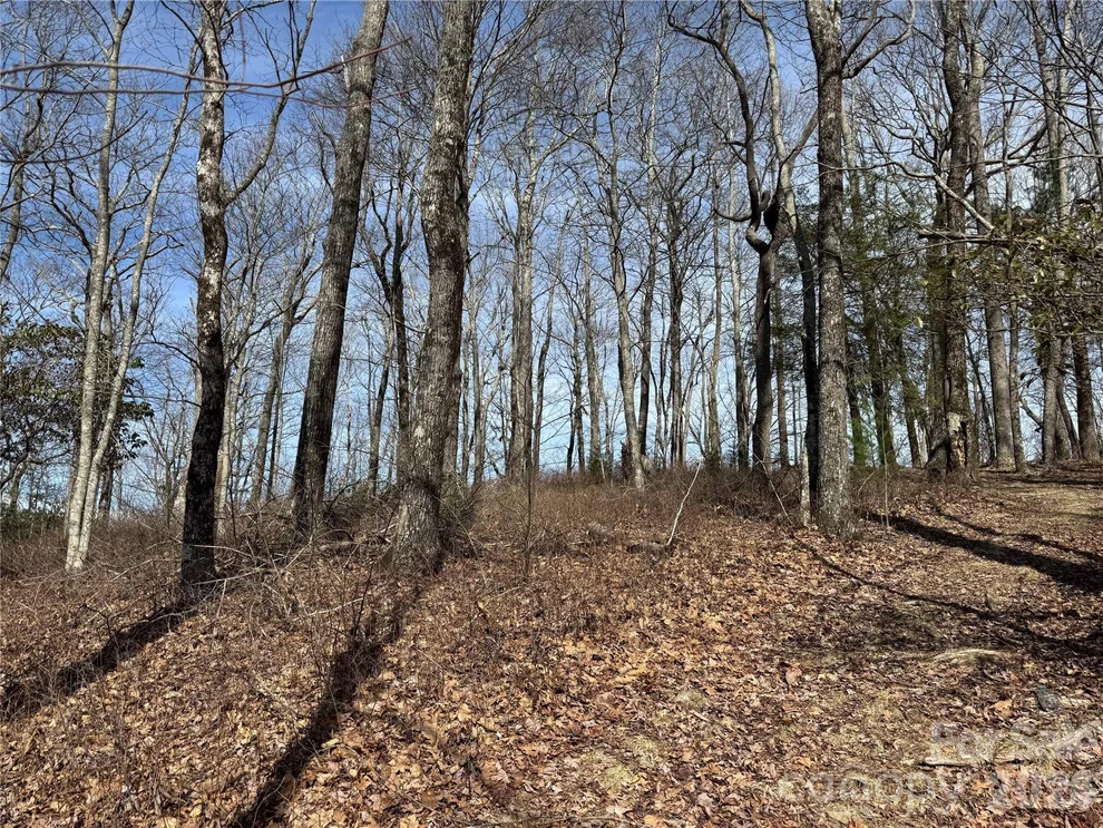 Unit for sale at L4 Windy Gap Lane, Sapphire, NC 28774