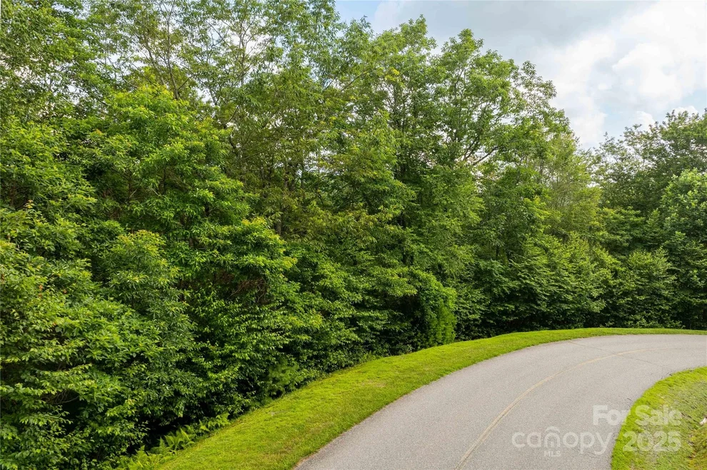 Unit for sale at TBD Lot 122 Firethorn Trail, Blowing Rock, NC 28605