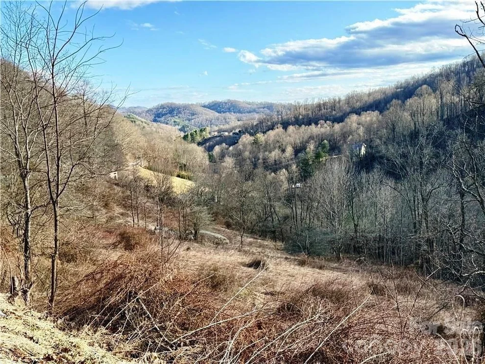 Unit for sale at tbd Willard Johnson Road, Vilas, NC 28692