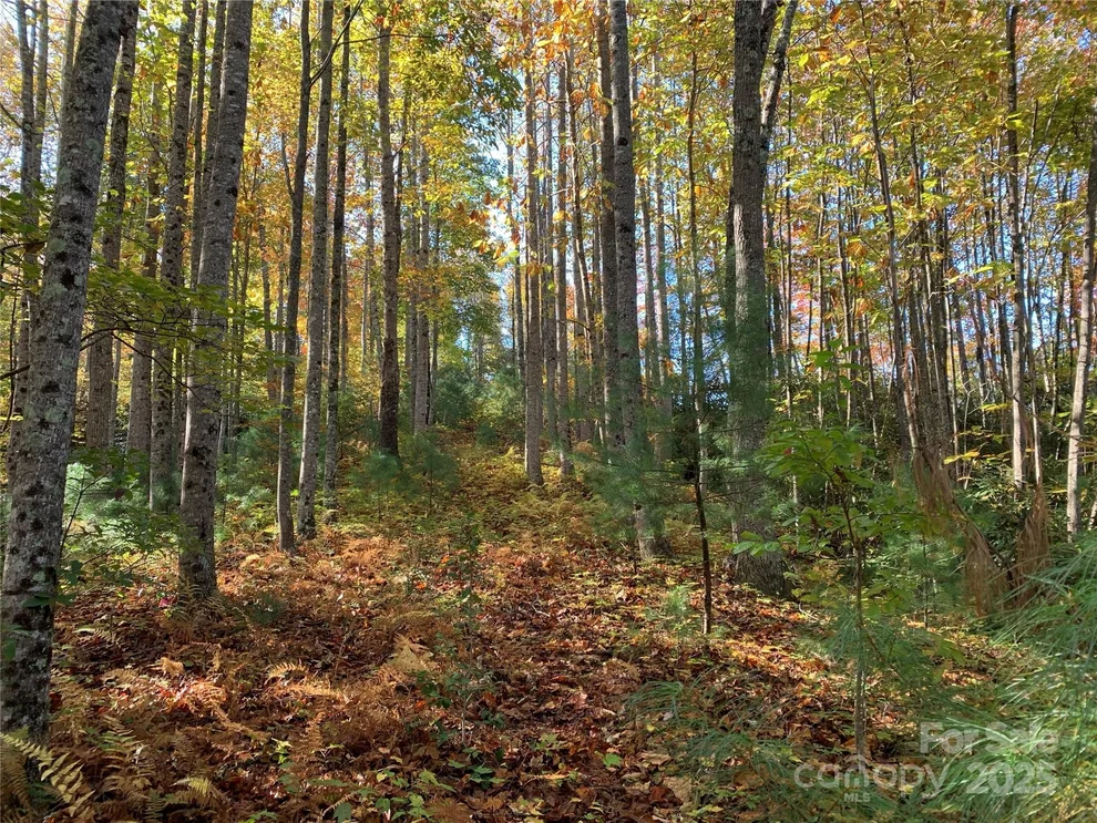 Unit for sale at Lot# 556 Timber Rock Drive, Lenoir, NC 28645