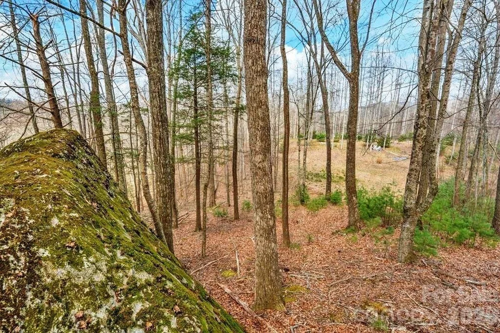 Unit for sale at tbd Denney Wood Road, Sugar Grove, NC 28679