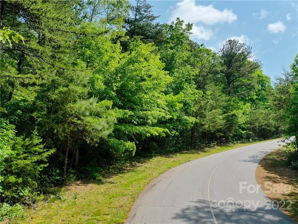 Unit for sale at LOT 295 Eastman Place, Mill Spring, NC 28756