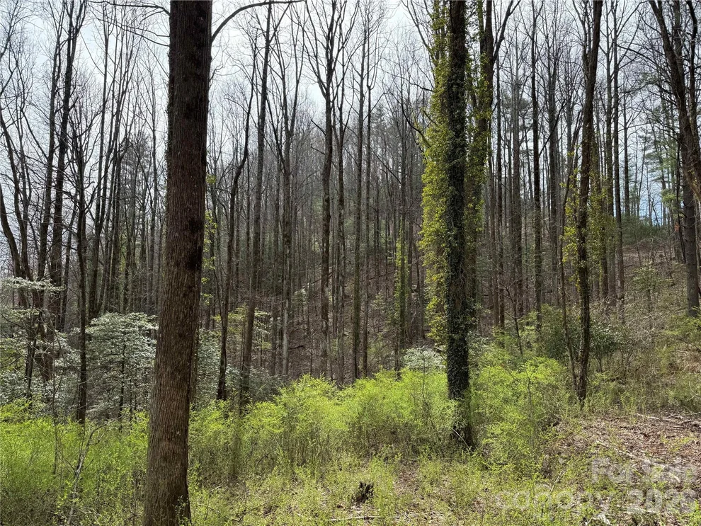 Unit for sale at L8 Black Bear Court, Sapphire, NC 28774