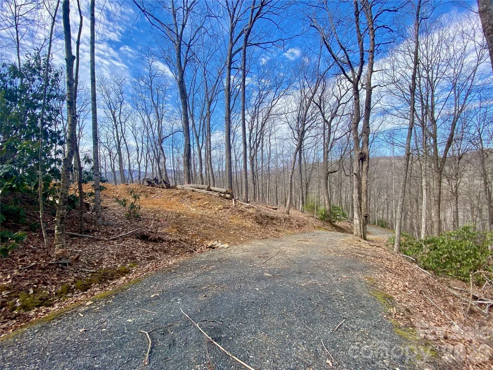 Unit for sale at TBD Old Chestnut Mountain Road, Newland, NC 28657
