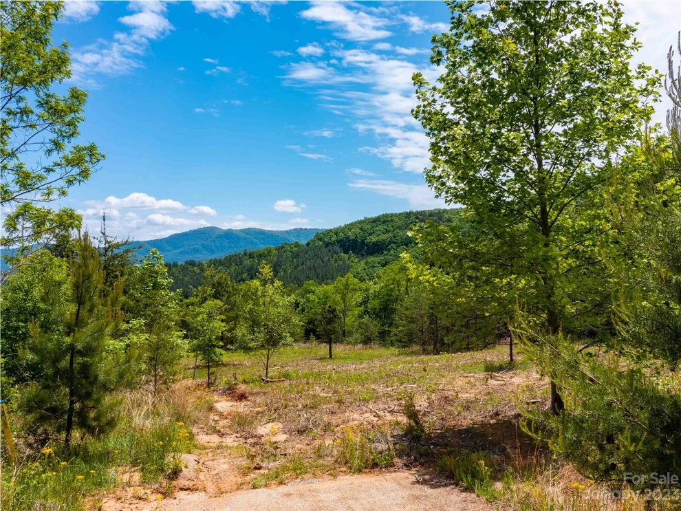 Unit for sale at LOT 185 Harris Court, Mill Spring, NC 28756