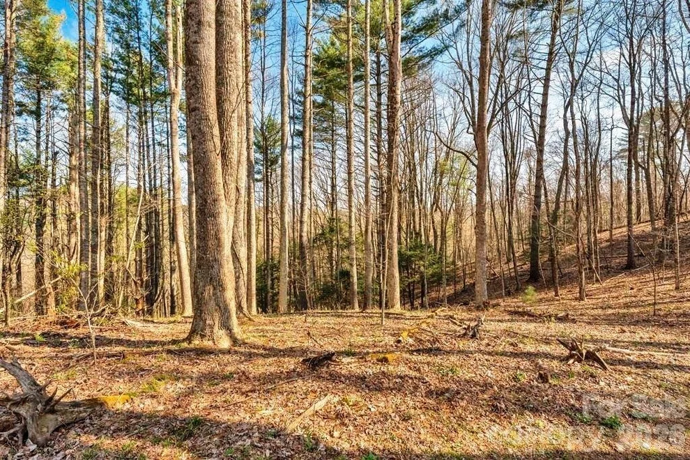 Unit for sale at tbd Private Drive, Sugar Grove, NC 28679