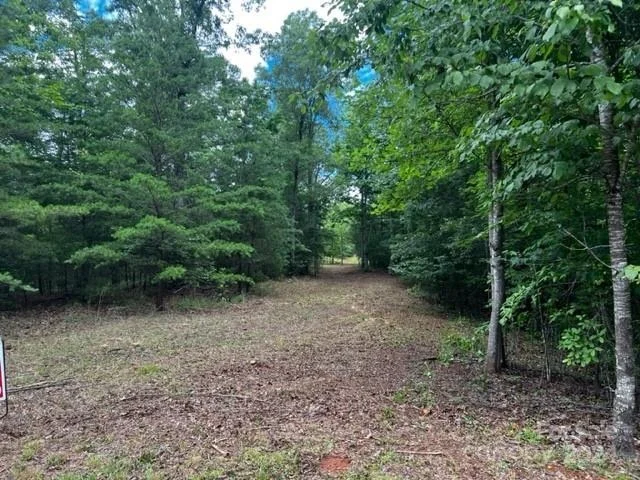 Unit for sale at 46 N Park Lane, Mill Spring, NC 28756