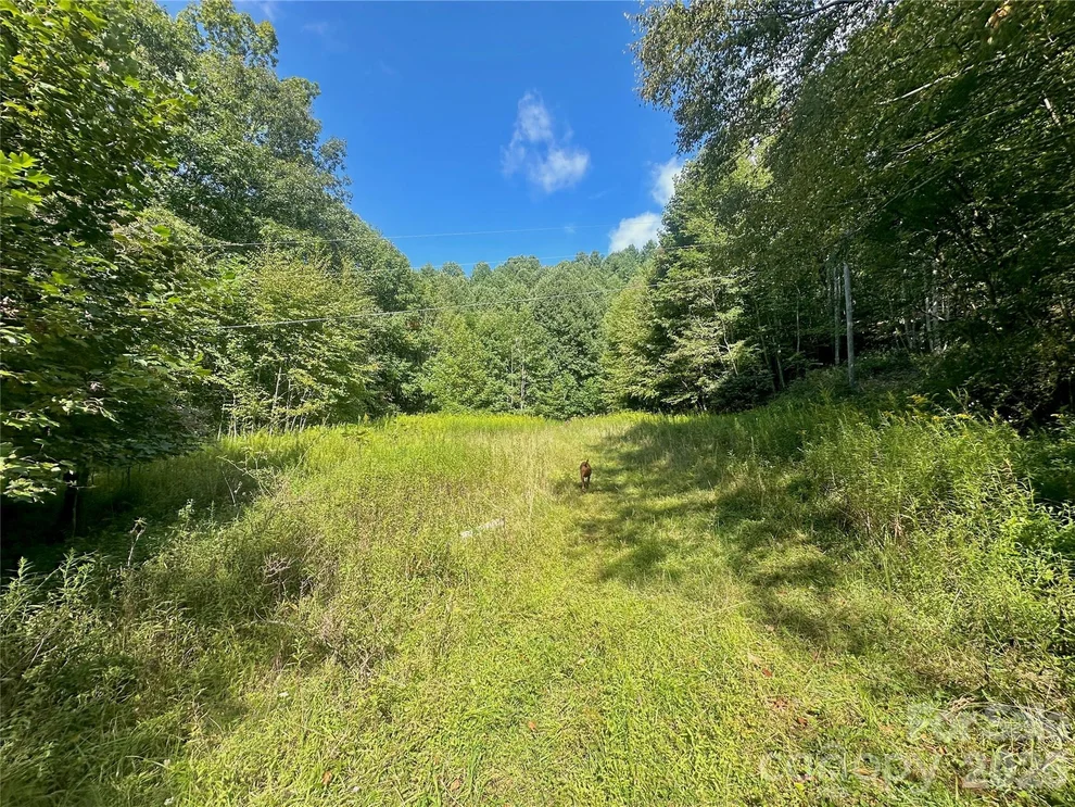 Unit for sale at TBD old anderson quarry Road, Vilas, NC 28692