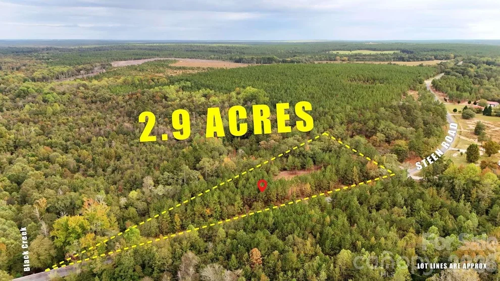 Unit for sale at 0 Steen Road, Mount Croghan, SC 29727