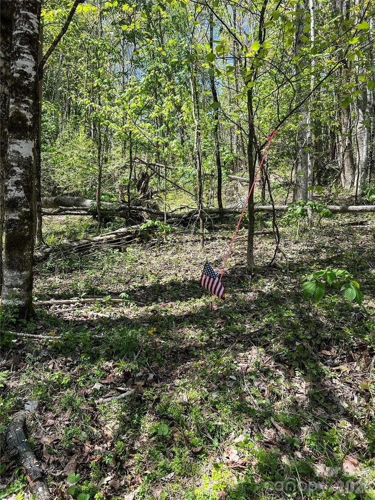 Unit for sale at Lot# 34 Buckeye Creek Road, Beech Mountain, NC 28622