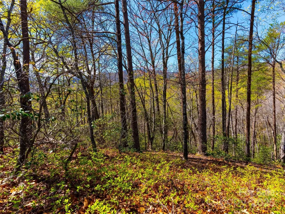 Unit for sale at 107 Deep Gap Road E, Mill Spring, NC 28756