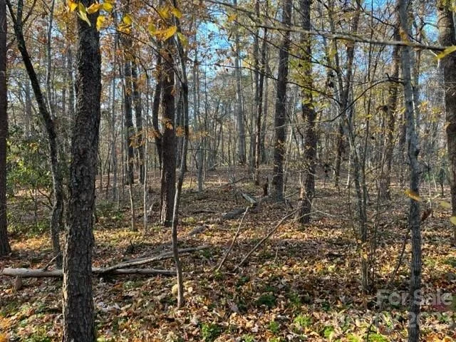Unit for sale at TBD Shady Lane, Mill Spring, NC 28756