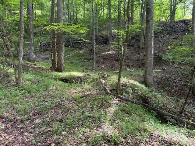 Unit for sale at 0 Cane Mountain Lane, Burnsville, NC 28714