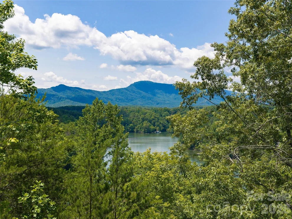 Unit for sale at Lot 3 Loggers Pass Lane, Mill Spring, NC 28756