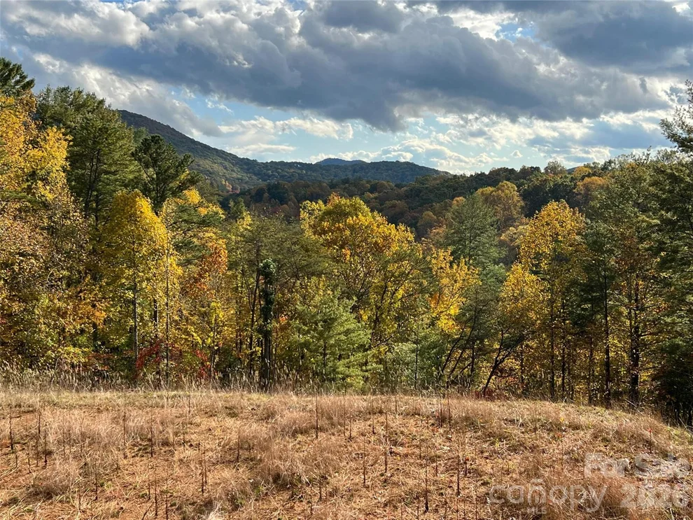 Unit for sale at 165 Riverbend Forest Drive, Asheville, NC 28805