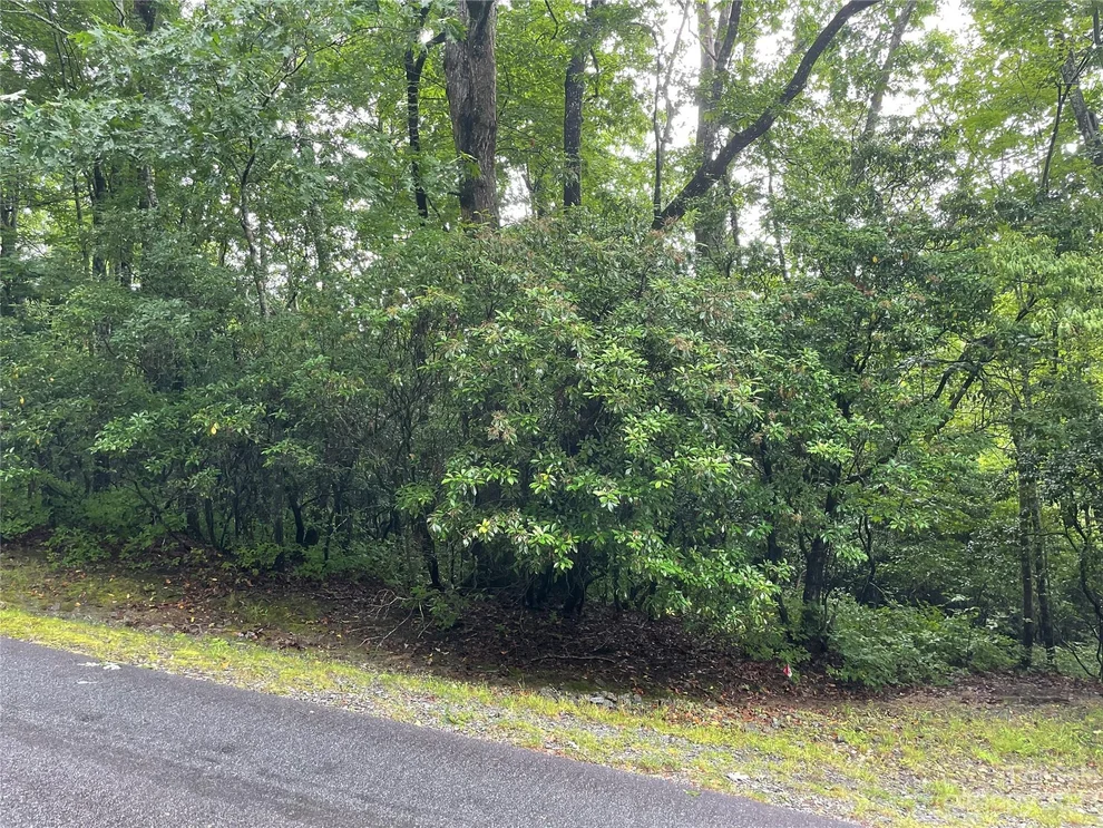 Unit for sale at TBD Tellico Trail, Brevard, NC 28712