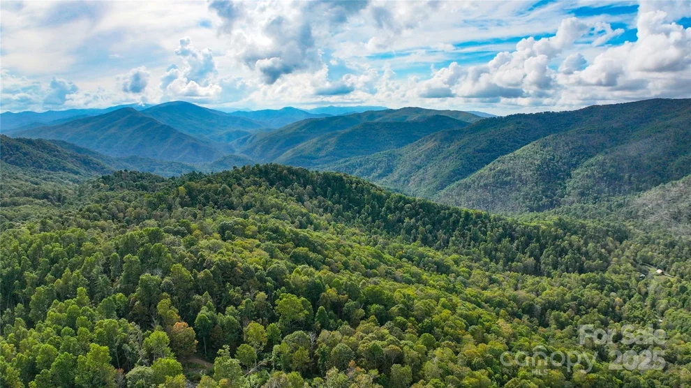 Unit for sale at 999 Poplar Creek Road, Green Mountain, NC 28740