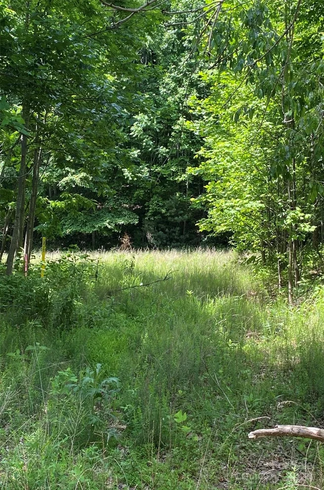 Unit for sale at 199 Cherry Hill None, Mill Spring, NC 28756