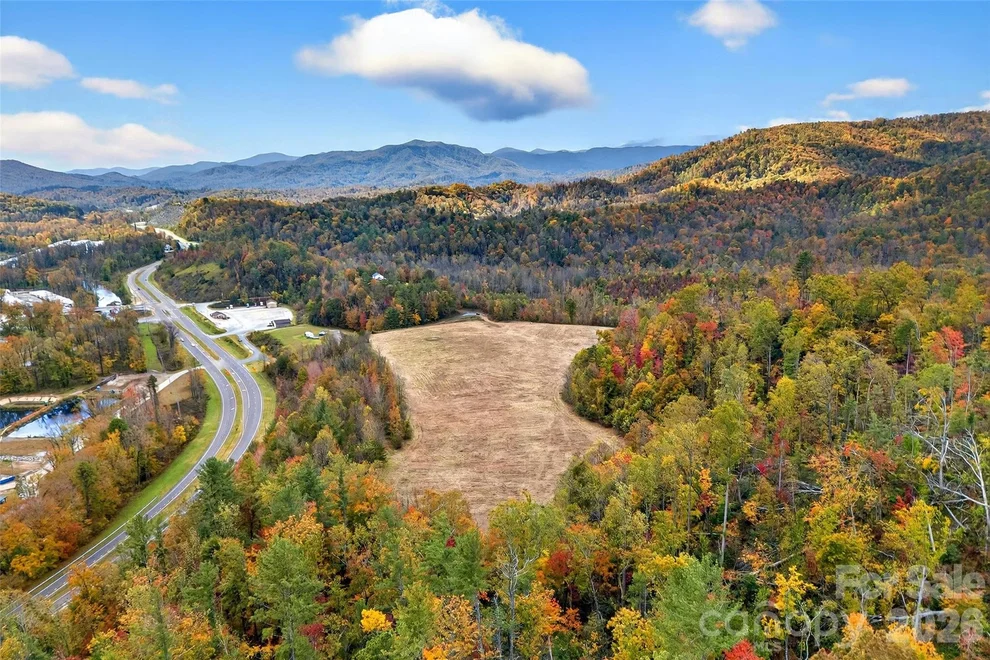 Photo of 0 U.S. 221, Pearson, GA 31642