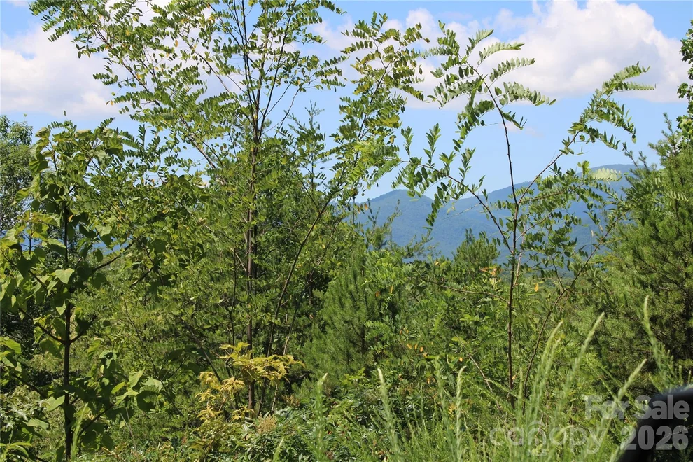 Unit for sale at 00 Sparrows Way, Lake Lure, NC 28746
