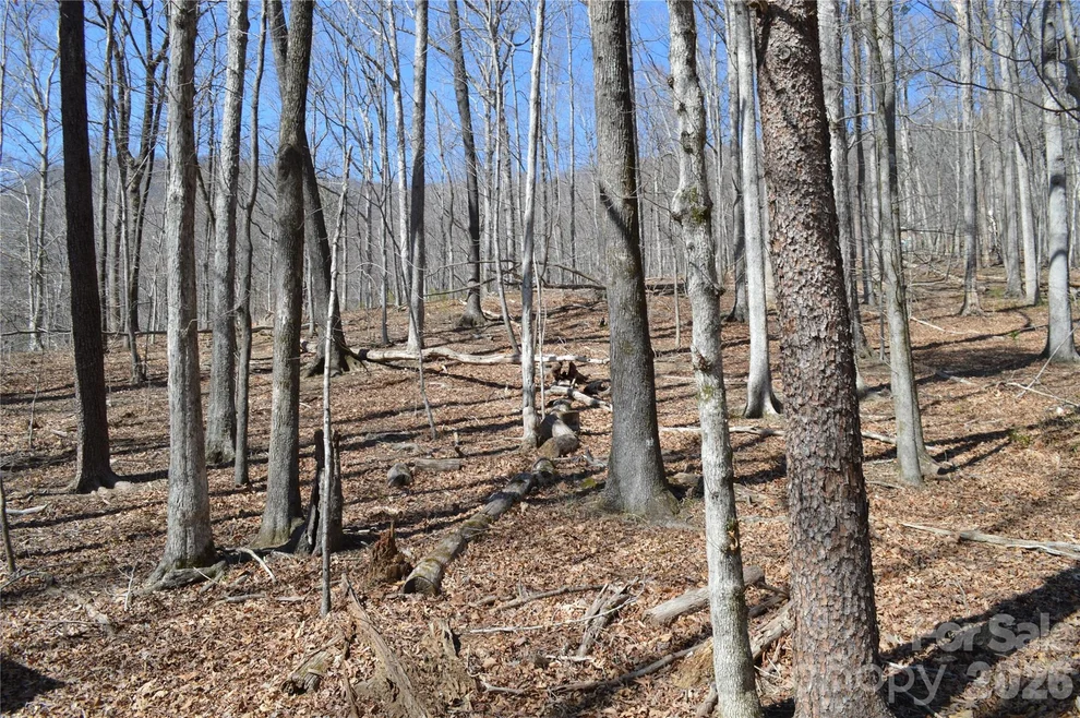 Unit for sale at 00 Shadow Creek Lane, Columbus, NC 28722